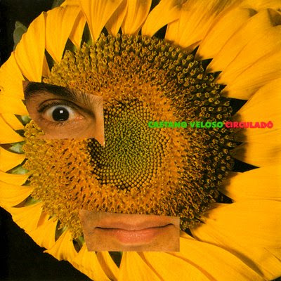 Resultado de imagem para caetano circuladô